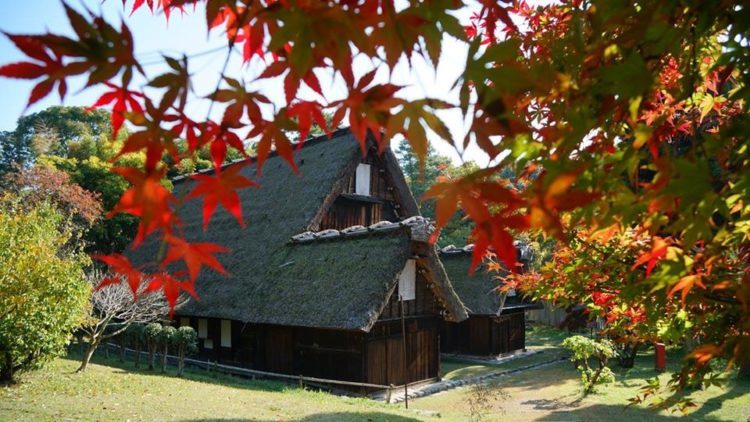 大阪のおすすめ博物館4選!~『知る』・『