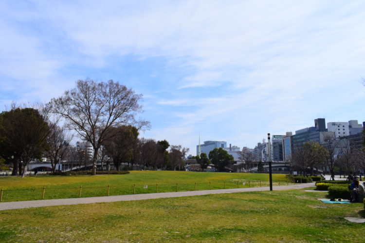 中之島公園の広場の写真