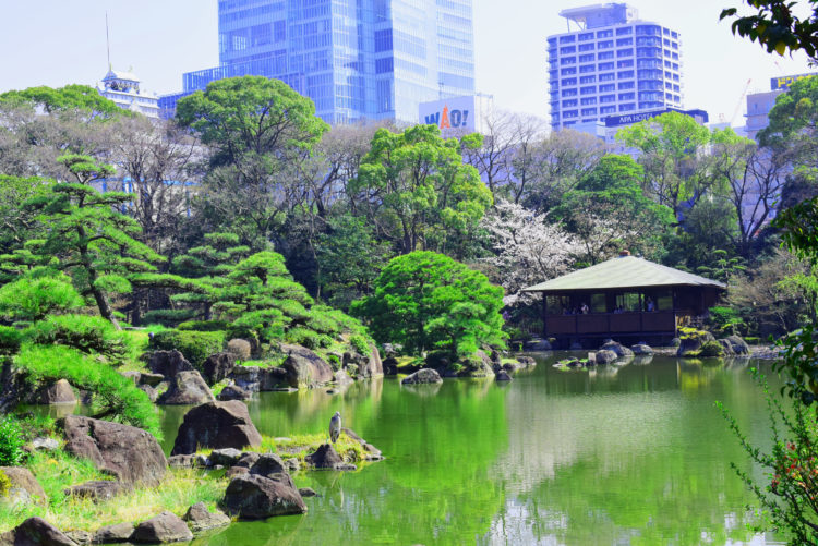 【美しき日本庭園】大阪天王寺の歴史ある”
