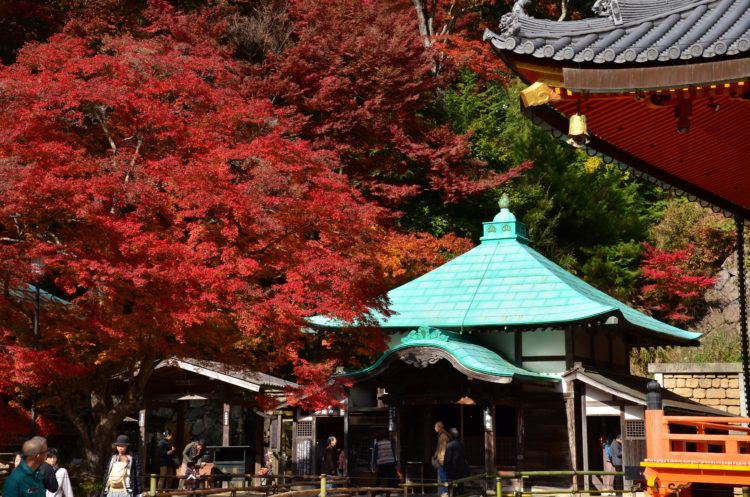 Deep red in Katsuo-ji