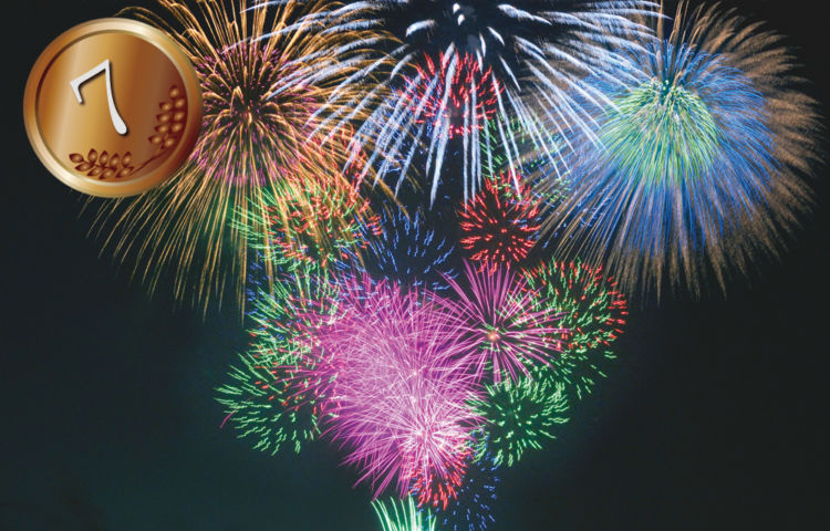 Kishiwada Harbor Fireworks Festival