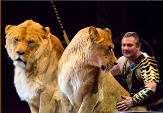 Mr.Michaelとライオンの写真