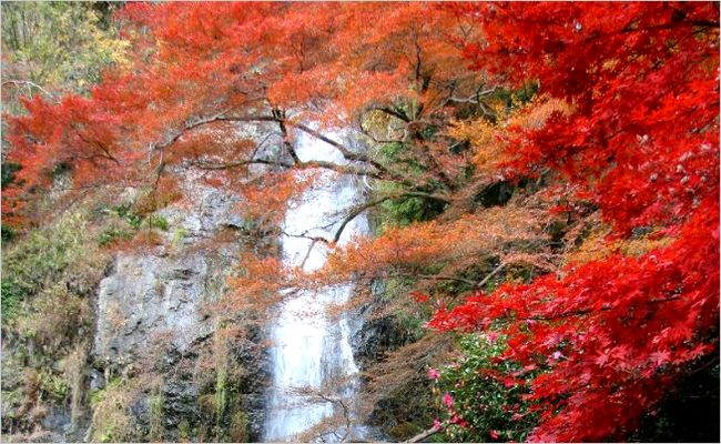 The 4 best waterfall