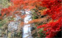大阪のおすすめの滝　4選！自然を感じて気分爽快リフレッシュ！