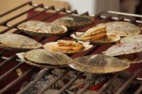 城北公園フェア 2018