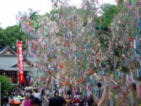 機物神社七夕祭