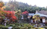 天野山金剛寺 紅葉の見ごろ